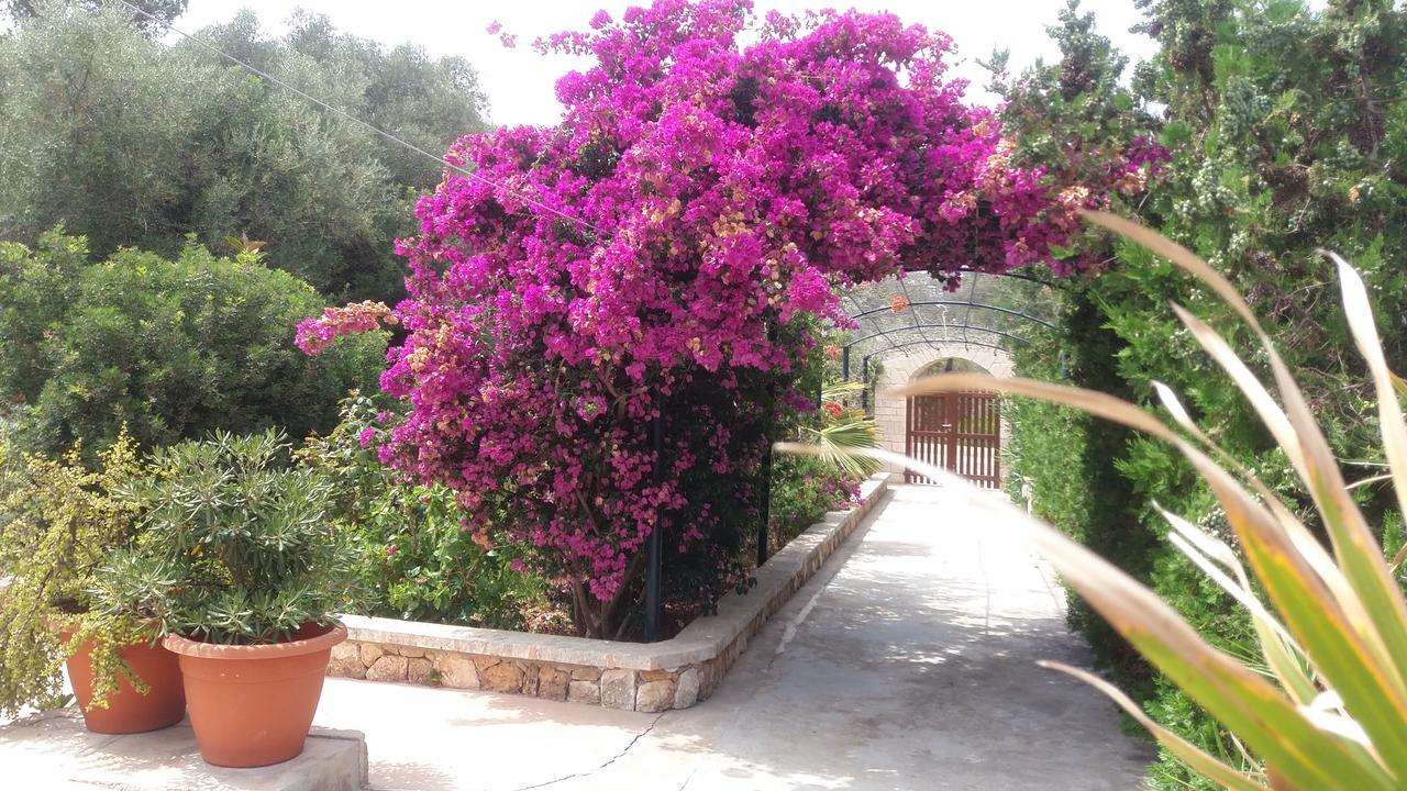 Apartamentos Villa Primera Cala Figuera  Bagian luar foto